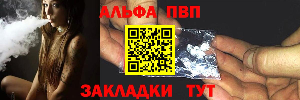 A-PVP СК КРИС Горно-Алтайск