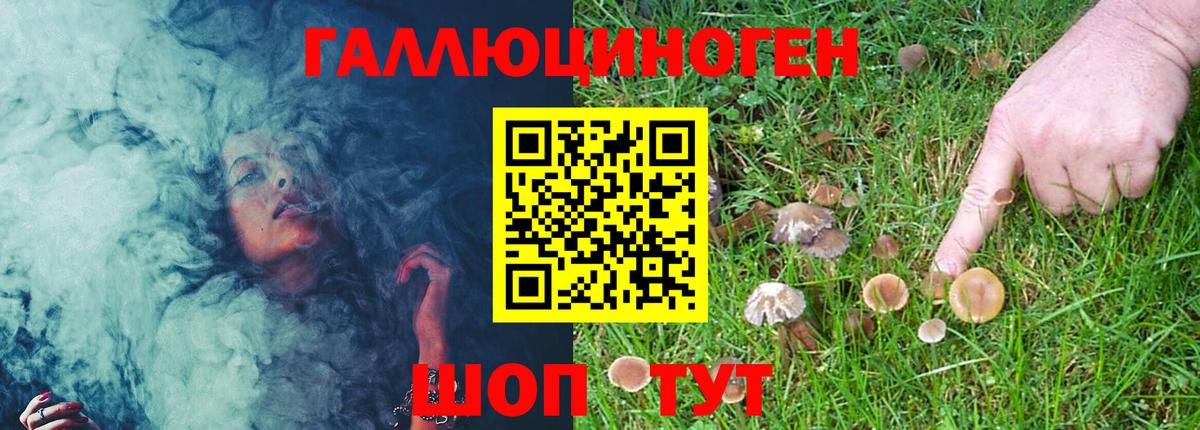 Галлюциногенные грибы Cubensis  Псилоцибиновые грибы Psilocybine cubensis  Горно-Алтайск  Вход с VPN 