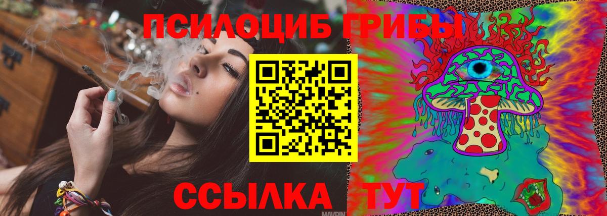 Псилоцибиновые грибы ЛСД Горно-Алтайск